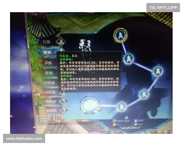 五种武魂玄冰加点策略提升输出与防御效果解析 五种武魂玄冰加点策略提升输出与防御效果解析