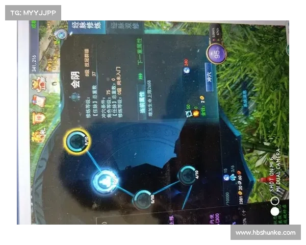 提升武魂玄冰五大加点技巧助你战力飙升的完美攻略 提升武魂玄冰五大加点技巧助你战力飙升的完美攻略