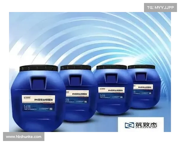 R1000TC北美版使用体验深度分析七大关键点让你全面了解其优势与不足 R1000TC北美版使用体验深度分析七大关键点让你全面了解其优势与不足