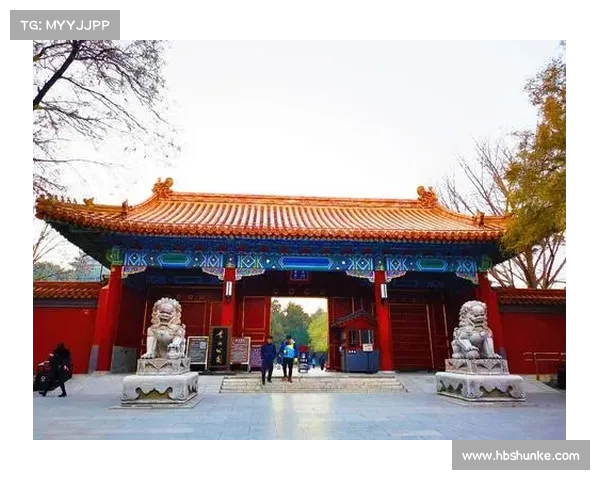 《深入解析Nation Red中最强武器排名及其独特优势》 《深入解析Nation Red中最强武器排名及其独特优势》