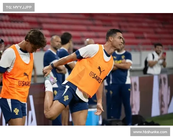 全方位全面解析如何高效查找葡萄牙足球球队名称实用方法与技巧指