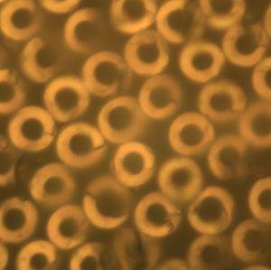 78m威九国际(集团)中国区有限公司